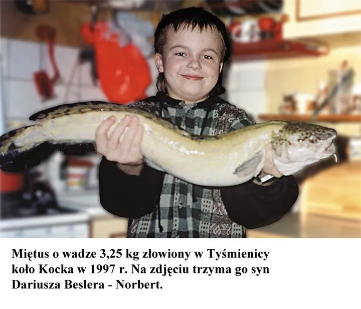 Miętus na talerzu: Jak smakuje ta tajemnicza ryba?