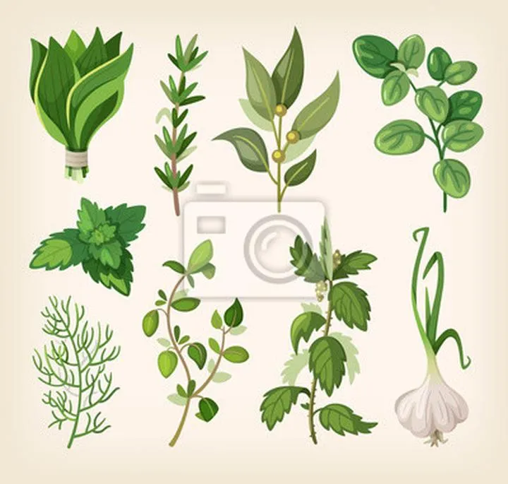 Odkryj świat zielonych przypraw: smak natury na talerzu