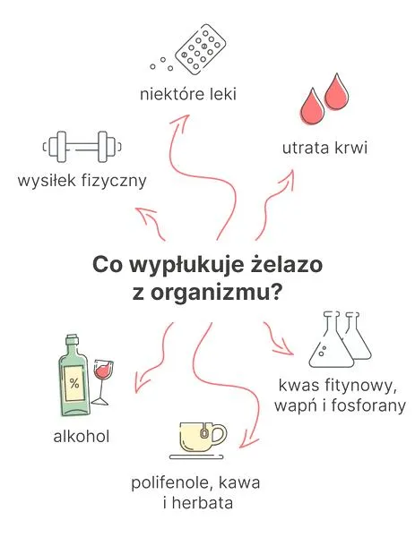 Anemia i żelazo