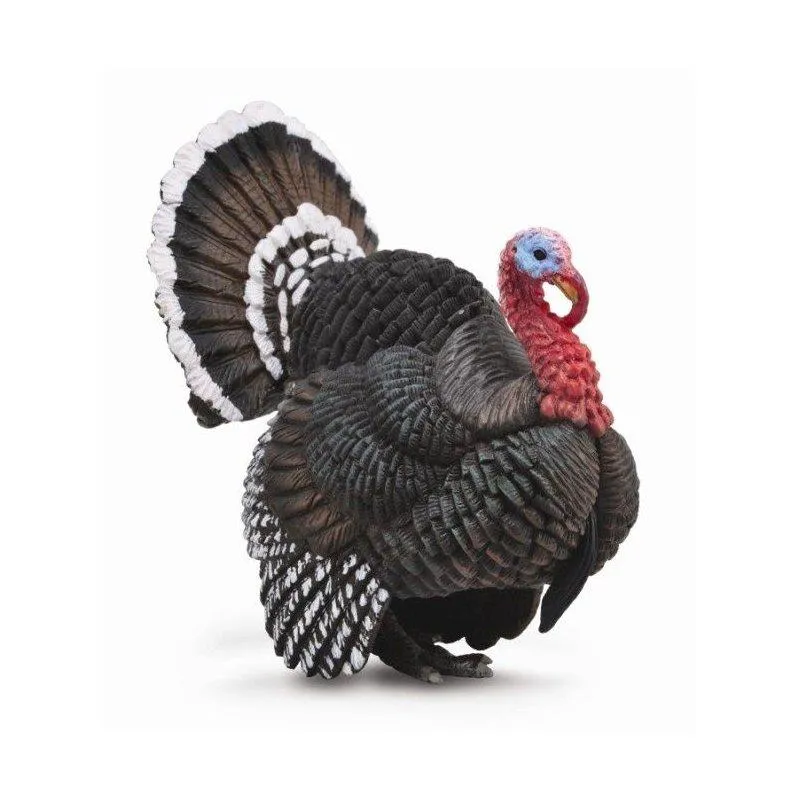 Chrupiąca skórka indyka