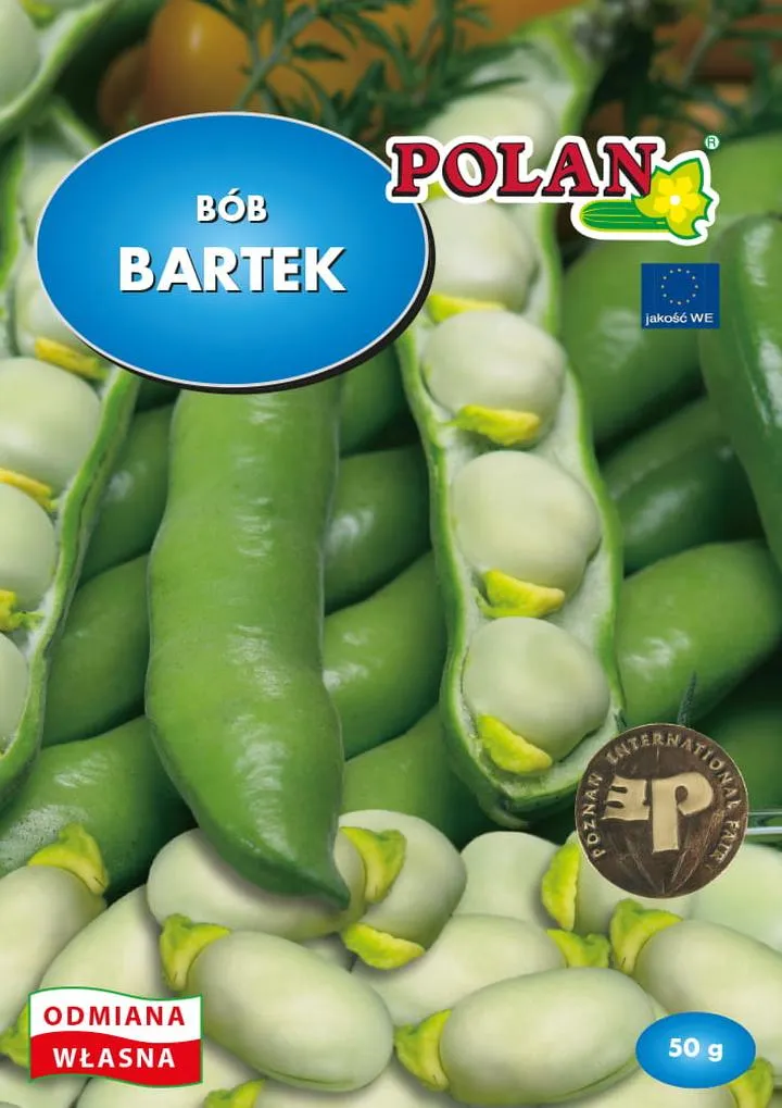 Czas gotowania młodego bobu