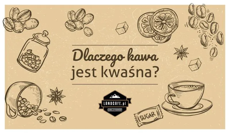 Ekstrakcja kawy