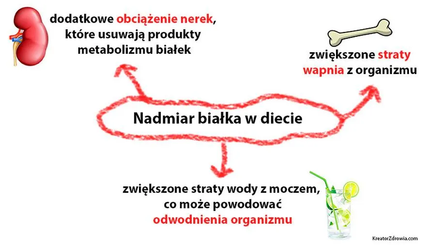 Objawy nadmiaru białka