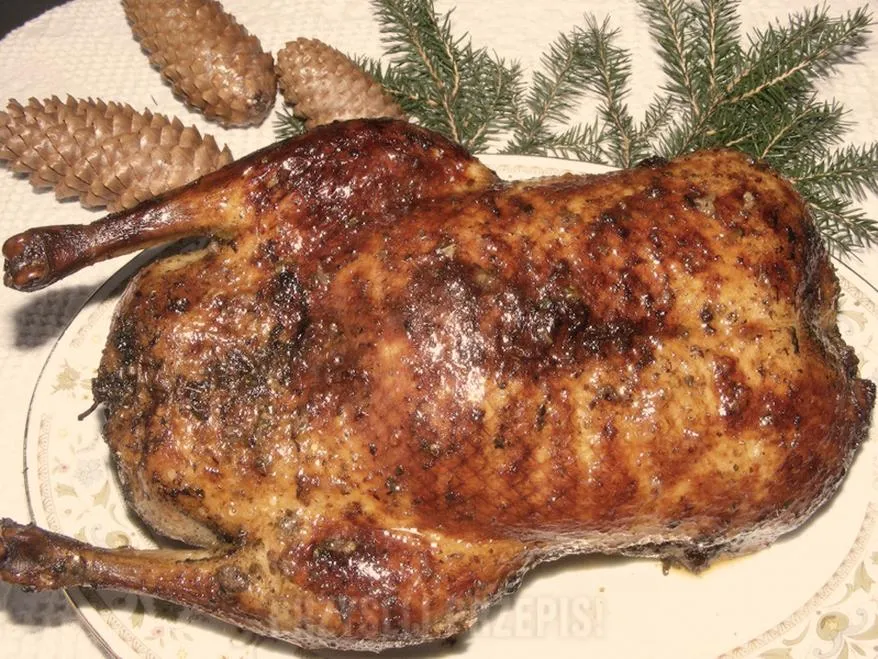 Pieczona kaczka z jabłkami