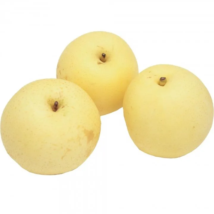 Pochodzenie i historia gruszki nashi