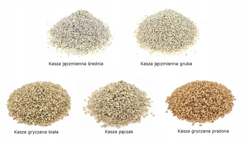 Produkcja kaszy jęczmiennej