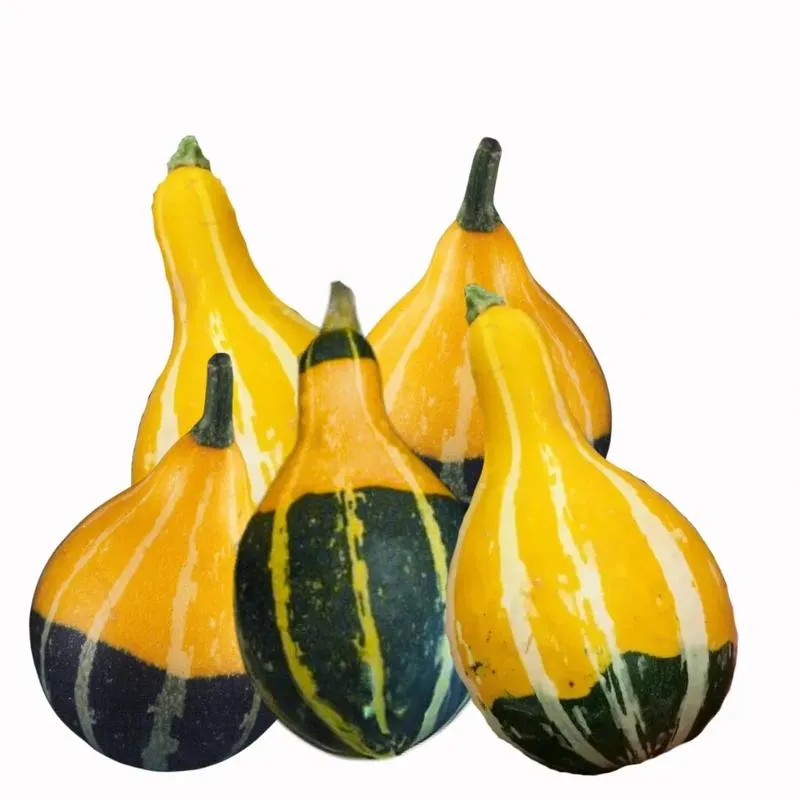 Przepis na zupę dyniową