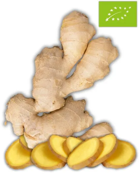 Zamienniki galangalu