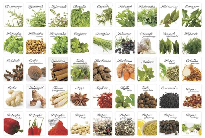 Zioła i przyprawy
